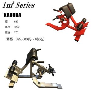 画像1: KARURA/バックエクステンション