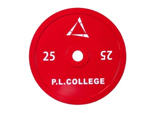 画像1: P.L..College スチールプレート25kg2枚