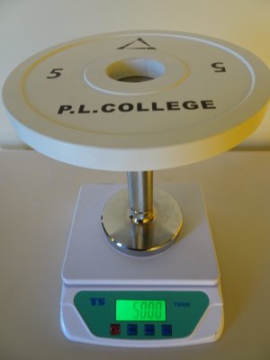 画像3: P.L..College スチールプレート5kg2枚